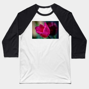 Close-up of a pink tulip Baseball T-Shirt